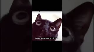 Kanka senin eski YouTube kanallı buldular #shortvideo #shorts