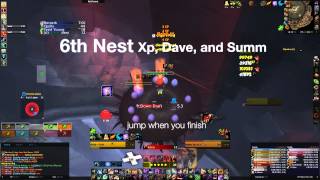 Dave Xp And Summ