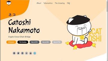 Catoshi Nakamoto - Crypto Cross Chain Bridge