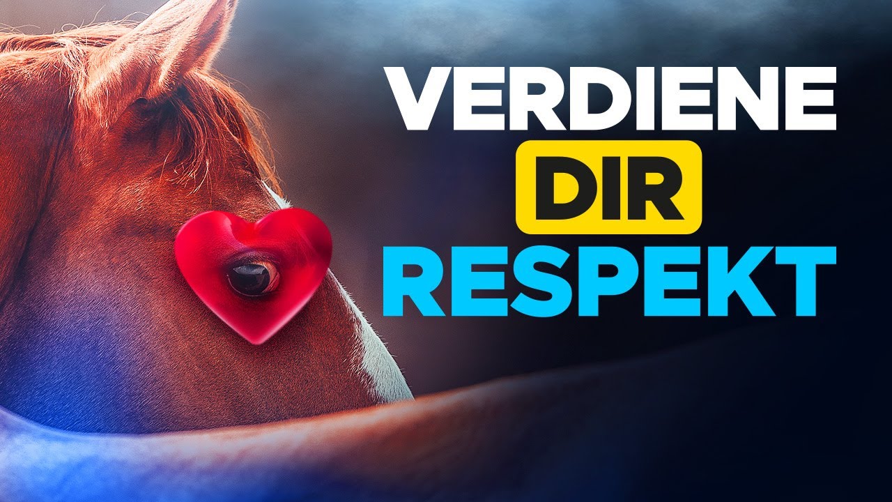 Warum respektieren Pferde Sie nicht? | Führungsqualitäten