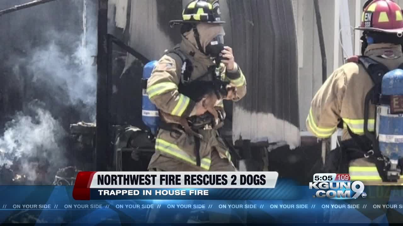 Crews rescue two dogs from burning house - YouTube
