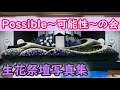 生花祭壇デザイン集 全国作品コレクション｜Possibleの会 幻想的で美しい花祭壇アートと作り方解説