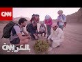 درب البحر الأحمر الفريد مسار جديد لسياحة المغامرات في مصر