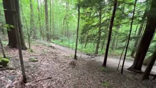 Taking a HUGE FALL while hiking The Ledges Trail at Cuyahoga Valley National Park