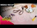 Nandini  weekly recap  2nd  8th aug 2020  sun bangla tv serial  bengali serial