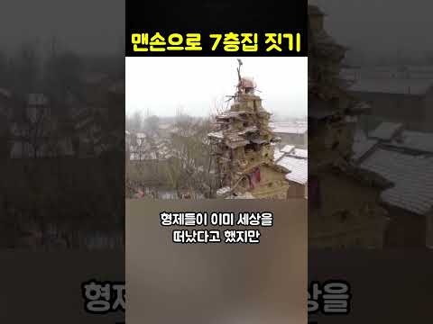 맨손으로 7층 건물을 지은 정신질환 농부