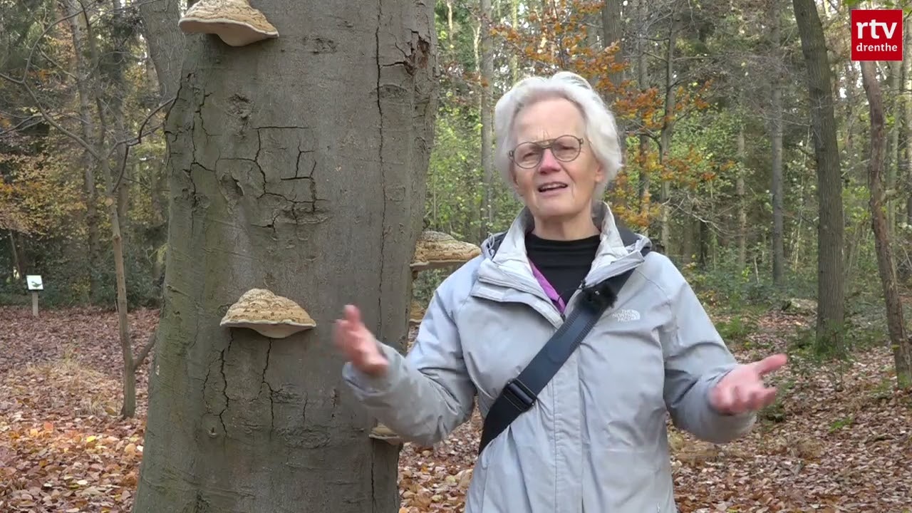 Nieuwe natuurgids in Drenthe: Nelleke Sijsses