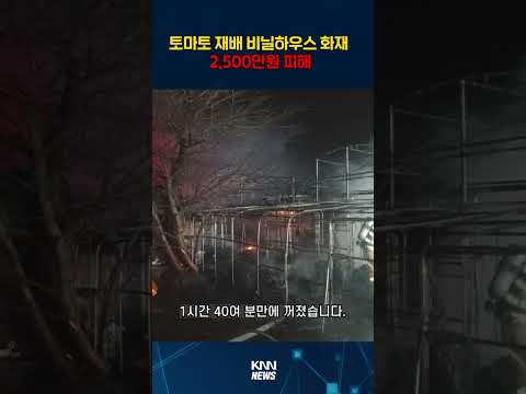 토마토 재배 비닐하우스 화재,  2,500만원 피해 #shorts