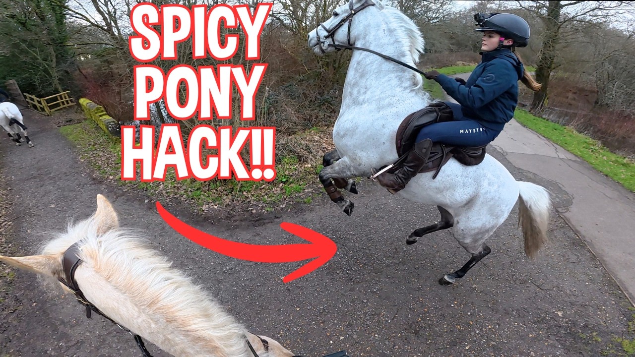 SPICY Pony Forest Hack! GoPro POV horse riding with Harlow, Claudia and Lexi!