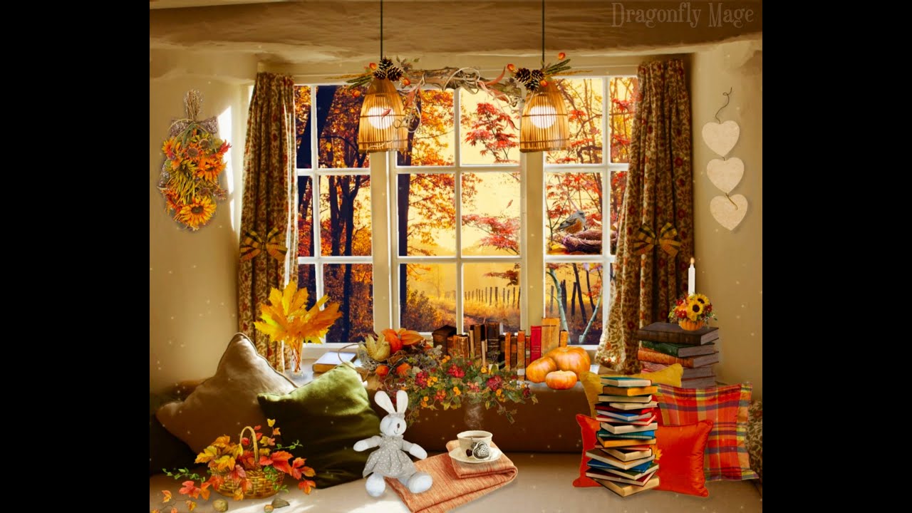 ASMR Ambience 🍂 Cozy Autumn Window (birds, box rummaging, rain) - YouTube