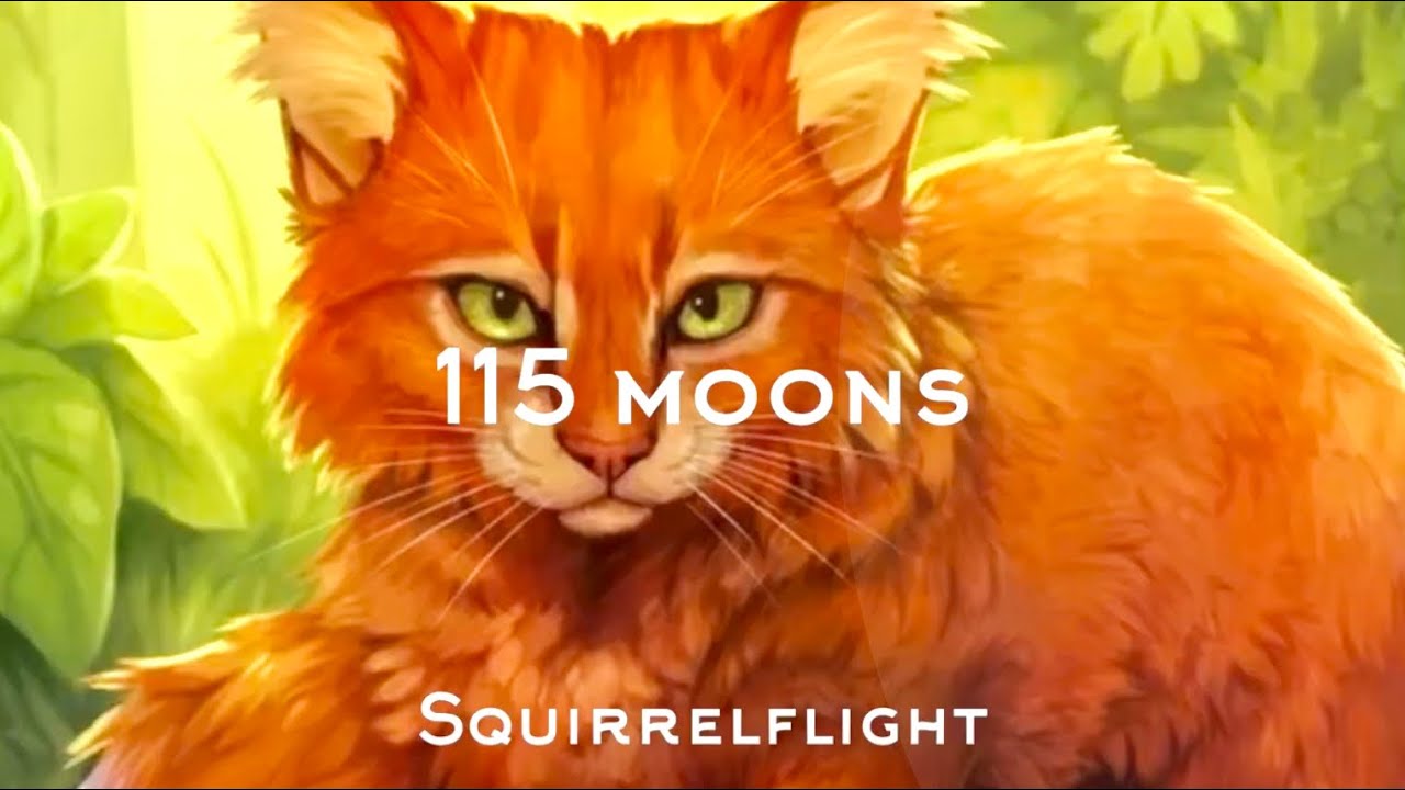 10 Oldest Warrior Cats 