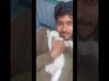 Cat lover like pannunga🐈@iyarpiyalkathalan_official #catlover #catshorts