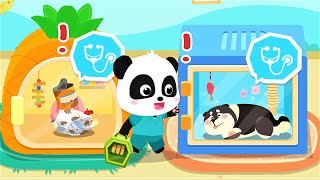 Little Panda Pet Care Center | Become a Pet Sitter & Decorate Pet Homes | Babybus Gameplay