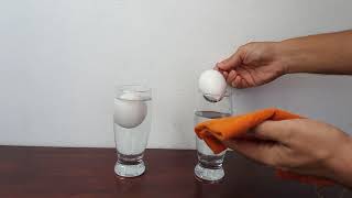 Experimento de ciências: Densidade (Prof. André Costa)
