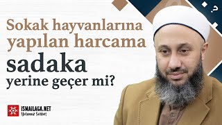 Sokak Hayvanlarına Harcanan Para Sadaka Yerine Geçer mi? - Fatih Kalender Hoca Efendi @ismailaganet