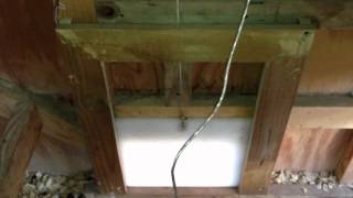 chicken door coop motor automatic