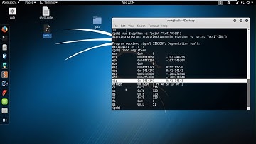 buffer overflow tutorial in kali linux to execute shell command