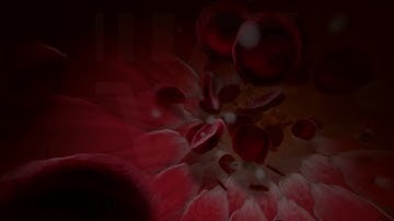 3D Cinematic Blood Stream Medical Animation (sequence, HD 720p @ 24 FPS)