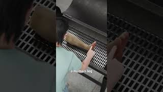 Unexpected Finding  funny lol laugh