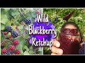 Turn blackberrys into ketchup