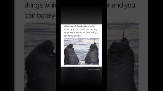 Oooohhh Weeeellsubscribe And Follow For More