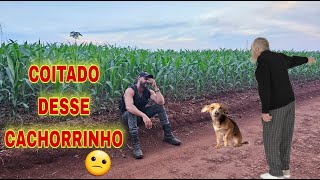 🚨- REVOLTANTE O QUE ELE FEZ COM O CACHORRINHO - SPIRITBOX