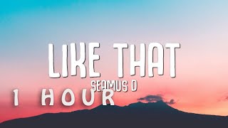 [1 HOUR 🕐 ] Seamus D - Like That (Lyrics)