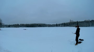 Bugs 3 fpv with eachine tx03 aio