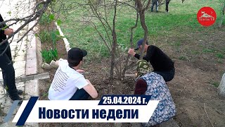 Новости 25 04 2024