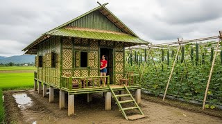 Building bamboo house in middle of barren field - Building house on muddy wasteland / Ep 2