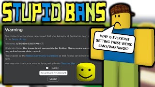 🛡️ • Official Moderator - Roblox