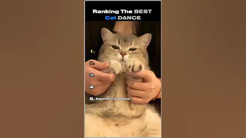 Ranking The Best Cat Dance