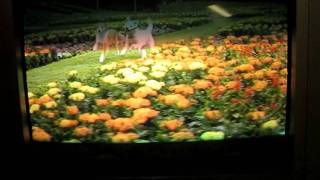 MVI_1032.AVI