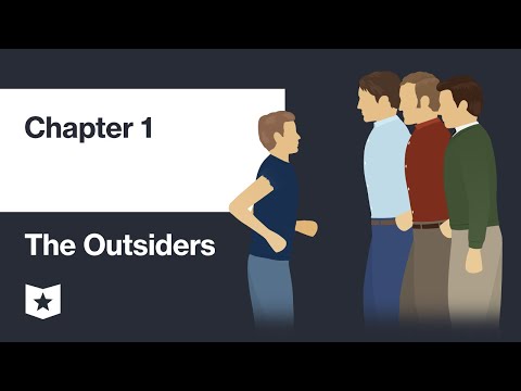 The Outsiders by S. E. Hinton | Chapter 1