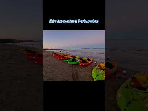 Auckland Bioluminescence Kayak Tour #travel #bioluminescence #auckland