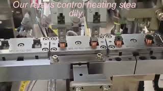 Automatic Relay Assembly Production Line | Electronic Component Manufacturing Machine
