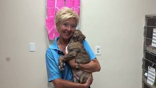Rounds with Randa - Inside Foster