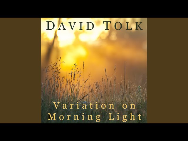 David Tolk - Variation on Morning Light