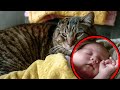 Baby schläft mit seiner Katze ein, aber dann passiert etwas Seltsames