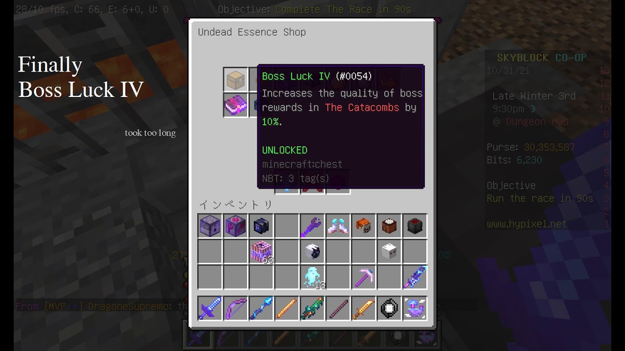 Unlocking BOSS LUCK IV finally (Hypixel SkyBlock) YouTube