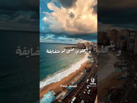 اجمل حالة واتس عمرو دياب شوف ازاي جميله