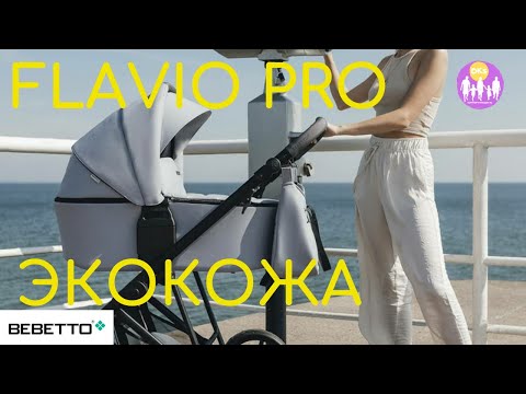 Bebetto Favio Pro в экокоже. Цвета. И в общем про Bebetto. DKS