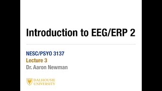 Lecture 3 pt 2 - EEG ERP