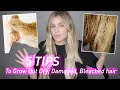 5 tips to grow out dry damaged  bleached hair