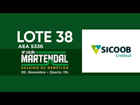 LOTE 38   AEA 5336