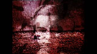 Kilim Mosh - Prophet Tout