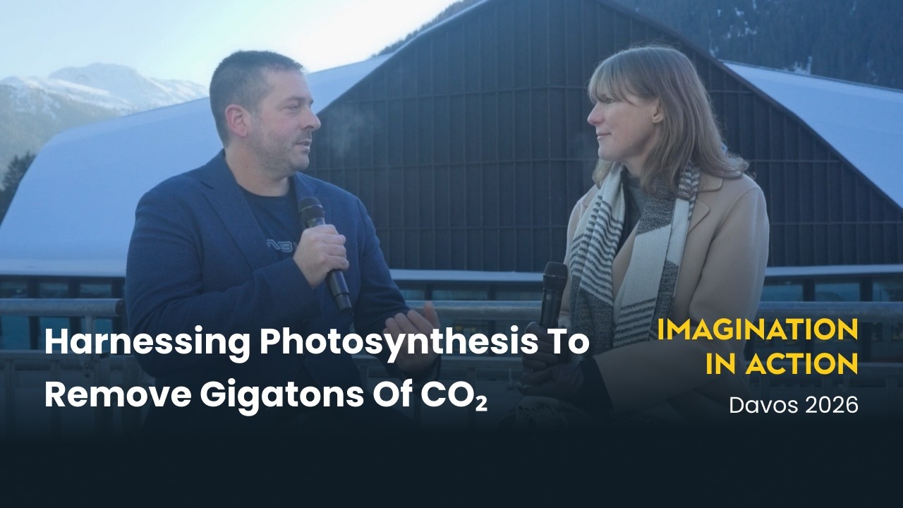 Harnessing Photosynthesis to Remove Gigatons of CO₂