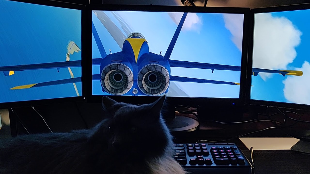 flight sim surround 2