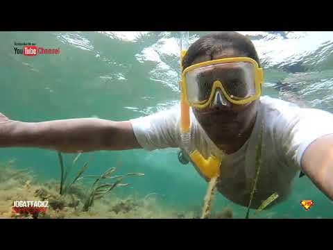 #VLOG: SISID PART 2