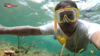 #VLOG: SISID PART 2